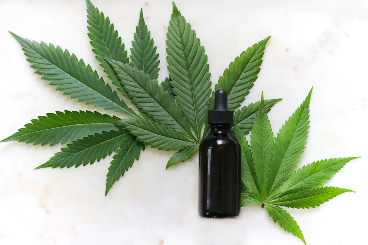 Licensed Cannabis Delivery in Antioch: Safe, Lab-Tested Products Delivered Fast