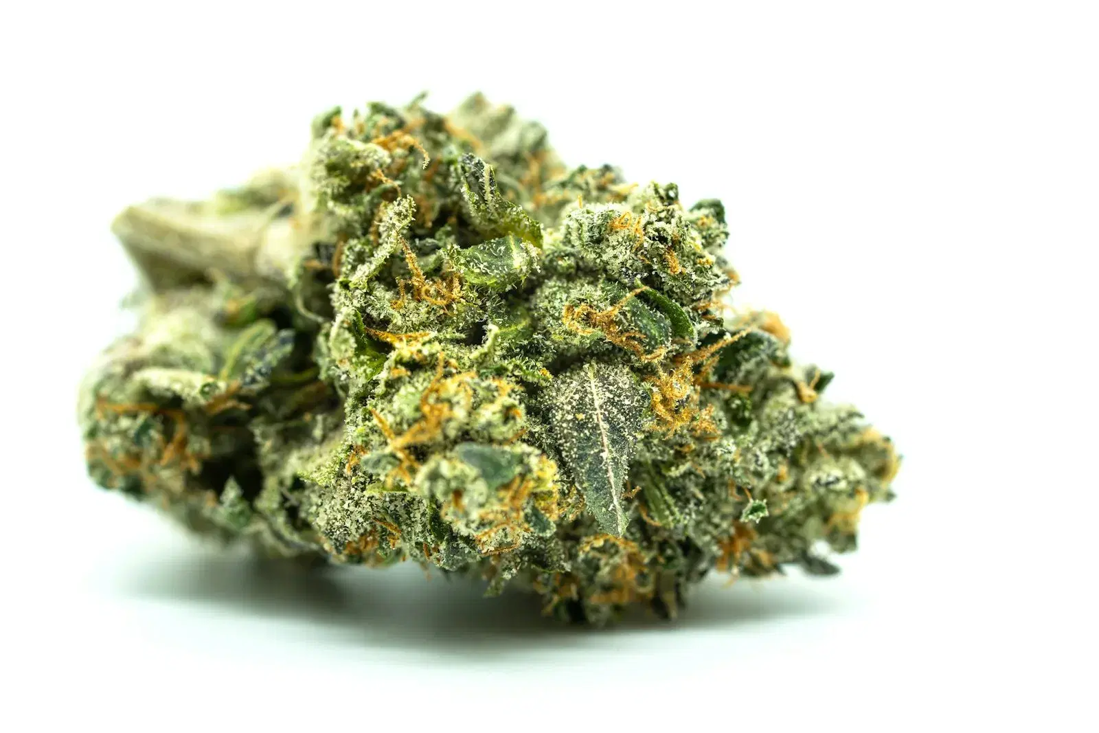 Marijuana Delivery Service in Antioch: What to Know
