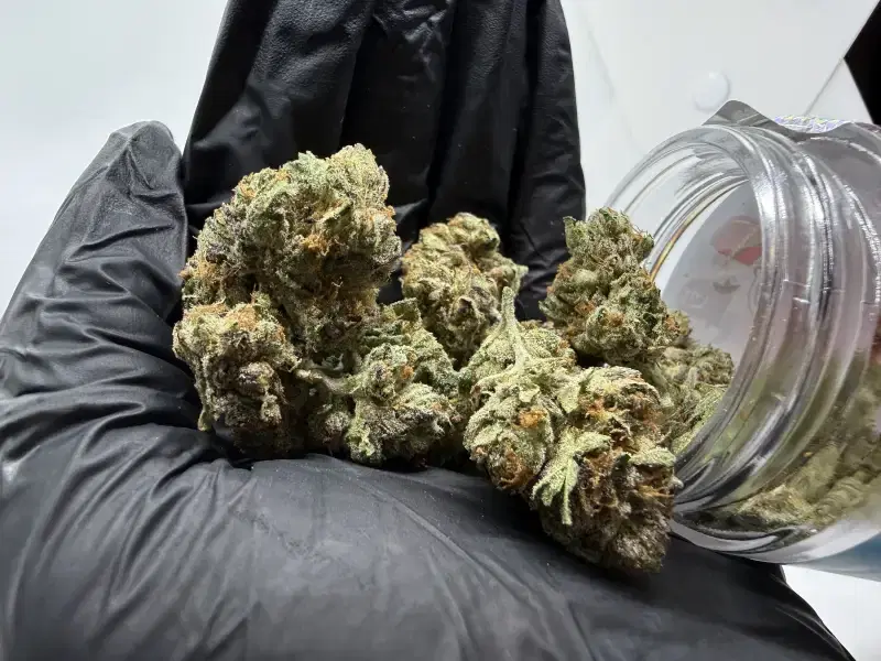 Hand-selected premium buds